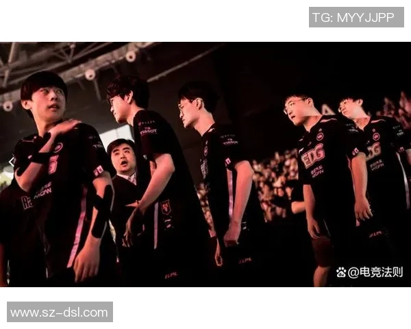 英雄联盟EDG战队灵活性揭秘：战术创新与团队协作的完美结合